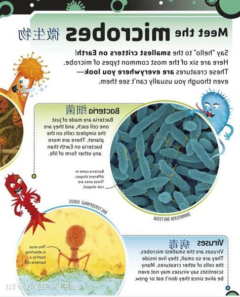 bacteria 2+意思